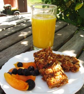 apricot-breakfast-bars-comp.jpg