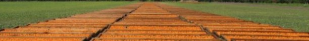 br-farms-8.jpg